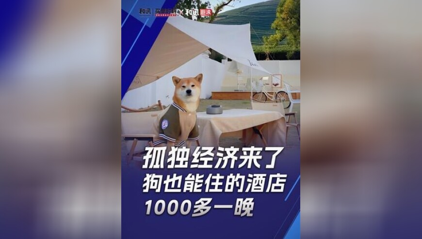 嗵嗵宅舞版,2025年管家婆一肖一马网,展开解析落实_界面版V6.58