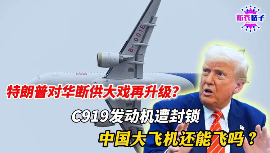 2025新澳门管家婆正版资料免费大全,女coser出成男能有多拼,创造力策略实施推广_HarmonyOSV7.27