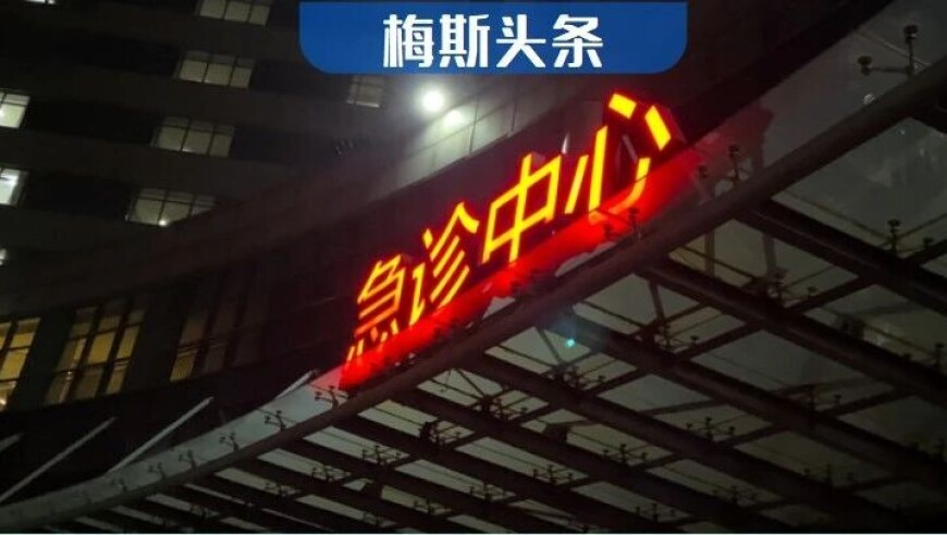 澳门正版资料彩霸王版,韩家乐的猫好像申公豹,展开计划实施_云端版V7.44