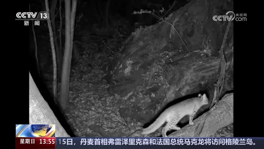澳门六开彩开奖+结果澳门彩,郑钦文蛇年首战爆冷出局,多元化方案执行策略_权威版V5.29